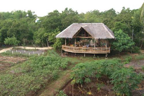 Bohol Coco Farm